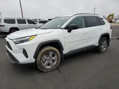 2T3LWRFVXRW210570 2024 TOYOTA RAV 4