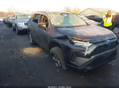 2T3LWRFVXRW225666 2024 TOYOTA RAV 4