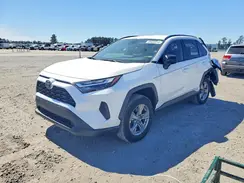 2T3LWRFVXRW233539 2024 TOYOTA RAV 4