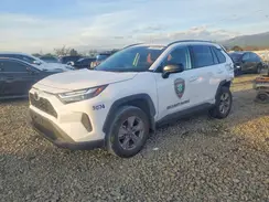 2T3LWRFVXSW269074 2025 TOYOTA RAV 4