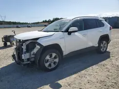 2T3M6RFV8MW015452 2021 TOYOTA RAV 4