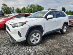 2T3MWRFV0KW036194 2019 TOYOTA RAV 4