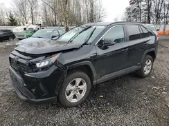 2T3MWRFV0MW113066 2021 TOYOTA RAV 4