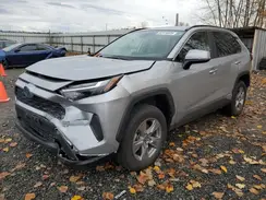 2T3MWRFV0RW189099 2024 TOYOTA RAV 4