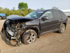 2T3MWRFV0RW193539 2024 TOYOTA RAV 4
