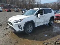 2T3MWRFV0RW201428 2024 TOYOTA RAV 4