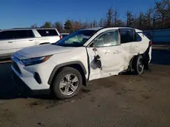 2T3MWRFV0RW216608 2024 TOYOTA RAV 4