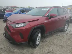 2T3MWRFV1KW003009 2019 TOYOTA RAV 4