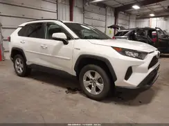 2T3MWRFV1KW026337 2019 TOYOTA RAV 4