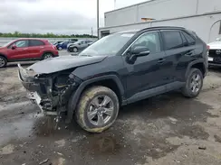 2T3MWRFV1PW181896 2023 TOYOTA RAV 4