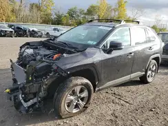 2T3MWRFV1PW184815 2023 TOYOTA RAV 4