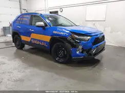 2T3MWRFV1RW209263 2024 TOYOTA RAV 4