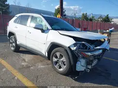 2T3MWRFV1RW222367 2024 TOYOTA RAV 4