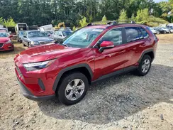 2T3MWRFV1RW222546 2024 TOYOTA RAV 4