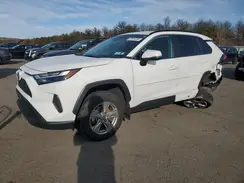 2T3MWRFV1RW224765 2024 TOYOTA RAV 4