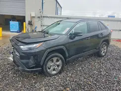 2T3MWRFV1RW233997 2024 TOYOTA RAV 4