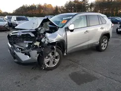2T3MWRFV1RW236530 2024 TOYOTA RAV 4