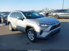 2T3MWRFV2KW022913 2019 TOYOTA RAV 4