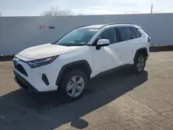2T3MWRFV2RW231367 2024 TOYOTA RAV 4