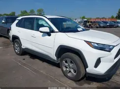 2T3MWRFV2RW232731 2024 TOYOTA RAV 4