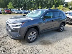 2T3MWRFV2RW238237 2024 TOYOTA RAV 4