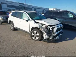 2T3MWRFV2RW244166 2024 TOYOTA RAV 4