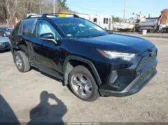 2T3MWRFV2SW266402 2025 TOYOTA RAV 4