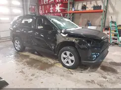 2T3MWRFV3KW012696 2019 TOYOTA RAV 4