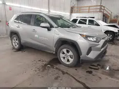2T3MWRFV3KW021768 2019 TOYOTA RAV 4