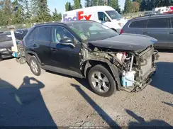 2T3MWRFV3KW024556 2019 TOYOTA RAV 4