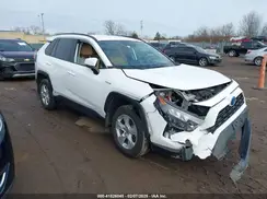 2T3MWRFV3KW030597 2019 TOYOTA RAV 4
