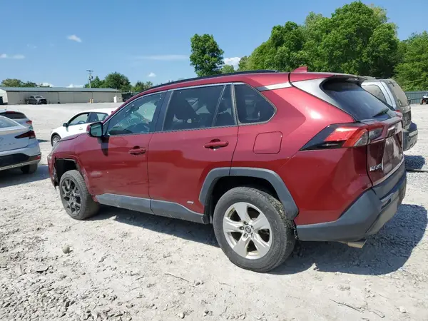 2T3MWRFV3KW039171 2019 TOYOTA RAV 4 - Image 2