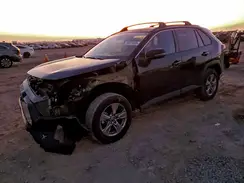2T3MWRFV3RW187167 2024 TOYOTA RAV 4