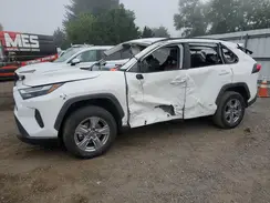 2T3MWRFV4RW210925 2024 TOYOTA RAV 4