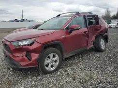 2T3MWRFV5KW034621 2019 TOYOTA RAV 4