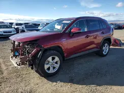 2T3MWRFV5KW035896 2019 TOYOTA RAV 4
