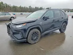 2T3MWRFV5MW125519 2021 TOYOTA RAV 4