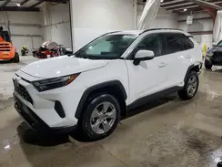 2T3MWRFV5RW195738 2024 TOYOTA RAV 4