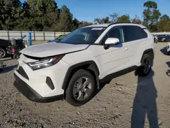 2T3MWRFV5RW223733 2024 TOYOTA RAV 4