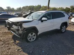 2T3MWRFV6KW032263 2019 TOYOTA RAV 4