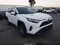 2T3MWRFV6RW194369 2024 TOYOTA RAV 4