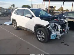 2T3MWRFV6RW222221 2024 TOYOTA RAV 4