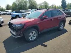 2T3MWRFV7KW014810 2019 TOYOTA RAV 4