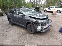 2T3MWRFV7KW027511 2019 TOYOTA RAV 4