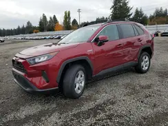 2T3MWRFV7KW044390 2019 TOYOTA RAV 4