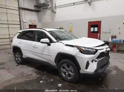 2T3MWRFV7RW231414 2024 TOYOTA RAV 4