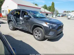 2T3MWRFV7RW241019 2024 TOYOTA RAV 4