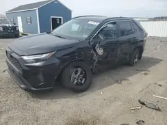 2T3MWRFV7RW245278 2024 TOYOTA RAV 4