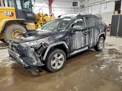 2T3MWRFV8KW002116 2019 TOYOTA RAV 4