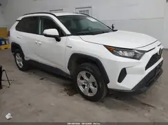 2T3MWRFV8KW003184 2019 TOYOTA RAV 4